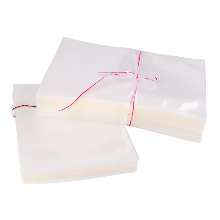 clear vacuum bag